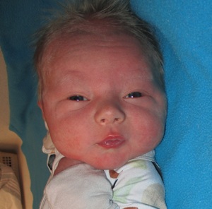 2025-04-18_Carter_Herman.jpg Image