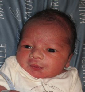 2025-05-10_Maurri_Lee.JPG Image