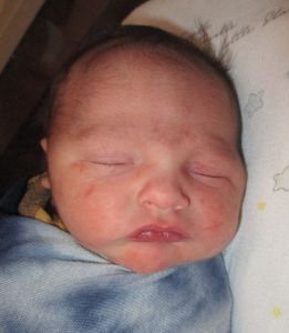 2025-05-16_Niikolas_Toby.JPG Image