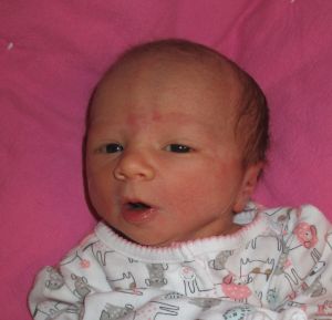 2025-06-15_Eden_Joy.JPG Image