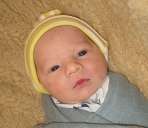 2026-01-08_Allen_Walker.jpg Image