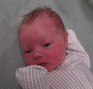 2026-01-12_Valor_Grant.jpg Image