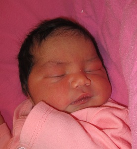 2026-02-03_Catalina_Frances.jpg Image