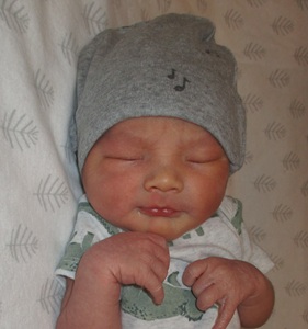 2026-02-14_Onyx_Lonzo_Atticus.jpg Image