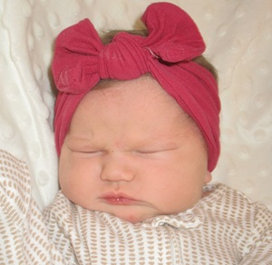 2026-02-21_Aleda_Alice.jpg Image