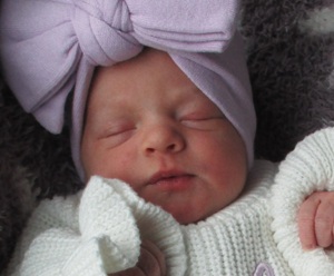 2026-05-17_Lily_Amelia.jpg Image