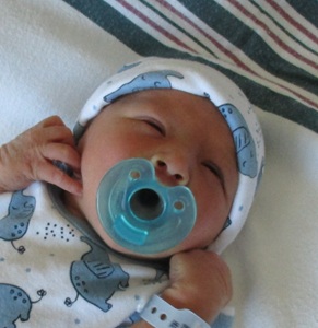 2026-07-11_Benjamin_Hartlen.jpg Image