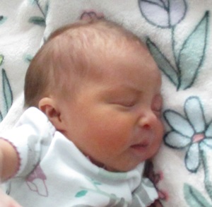 2026-09-09_Arya_Clover.jpg Image